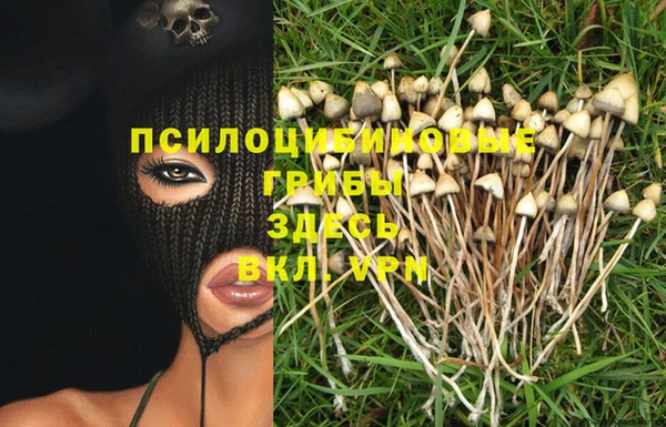 каннабис Гусев