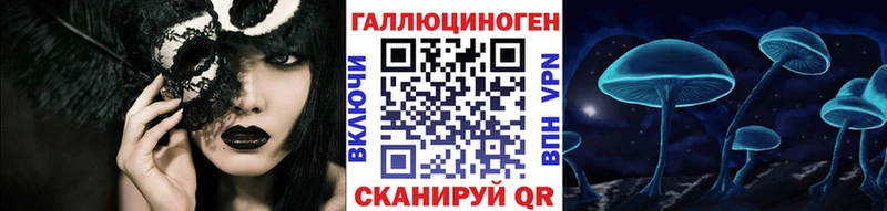 Псилоцибиновые грибы Cubensis  Новохопёрск 